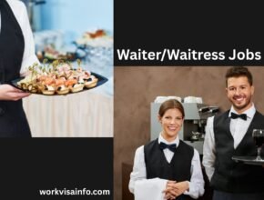 Waiter/Waitress Jobs in Dubai