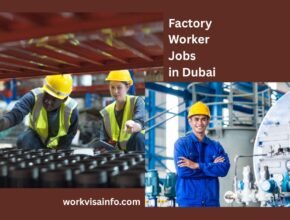 Factory Worker Jobs in Dubai