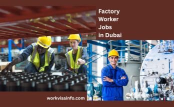 Factory Worker Jobs in Dubai