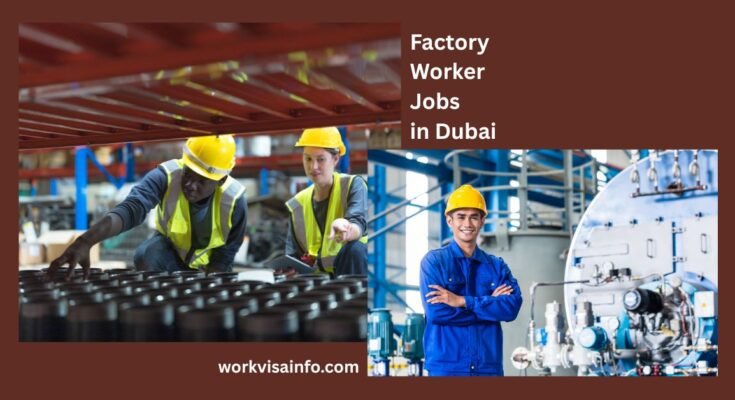 Factory Worker Jobs in Dubai