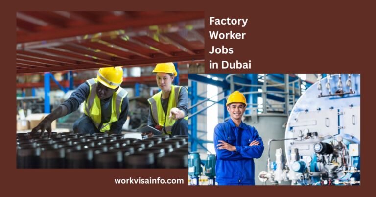 Factory Worker Jobs in Dubai