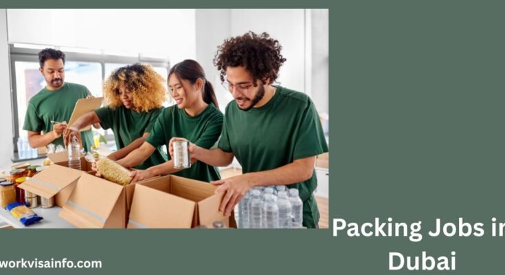 Packing Jobs in Dubai