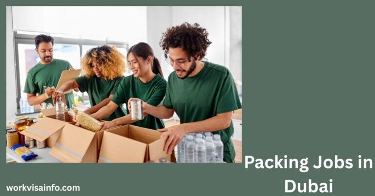 Packing Jobs in Dubai