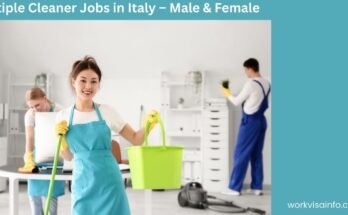 Multiple Cleaner Jobs in Italy – Male & Female